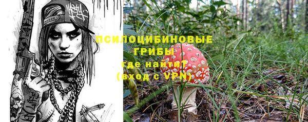 мдма Богданович