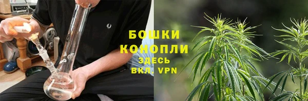 дурь Богородск